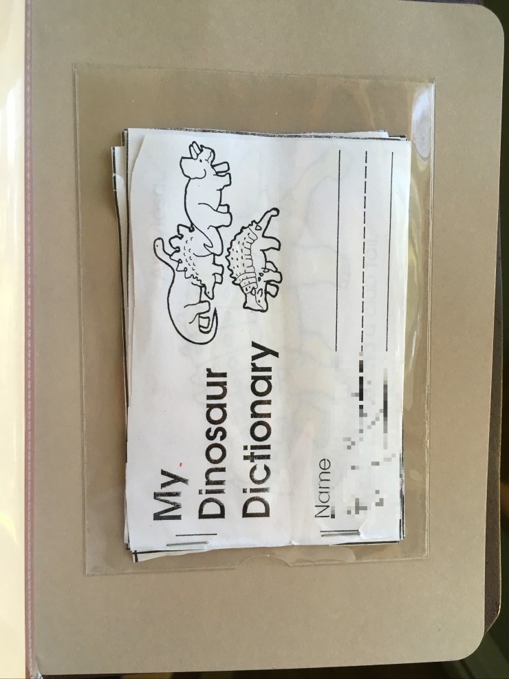 19_Large Card Insert