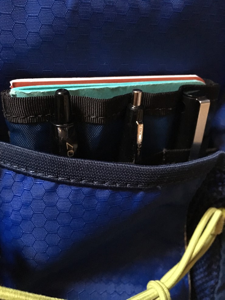 Blue in Backpack